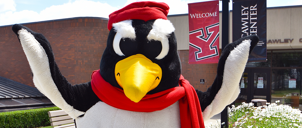 College Football’s Most Unique Helmets (Youngstown State) Return Just In Time To Spoil Traditionalists' Lunch