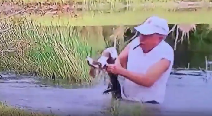 Florida Man Saves Puppy From Being Eaten By Alligator