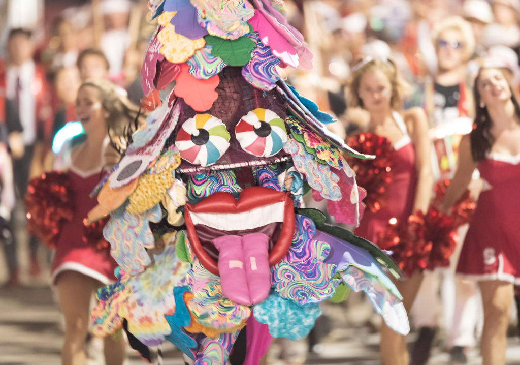Stanford Suspends Mascot For Bashing Admin As Students Fight To Party ...