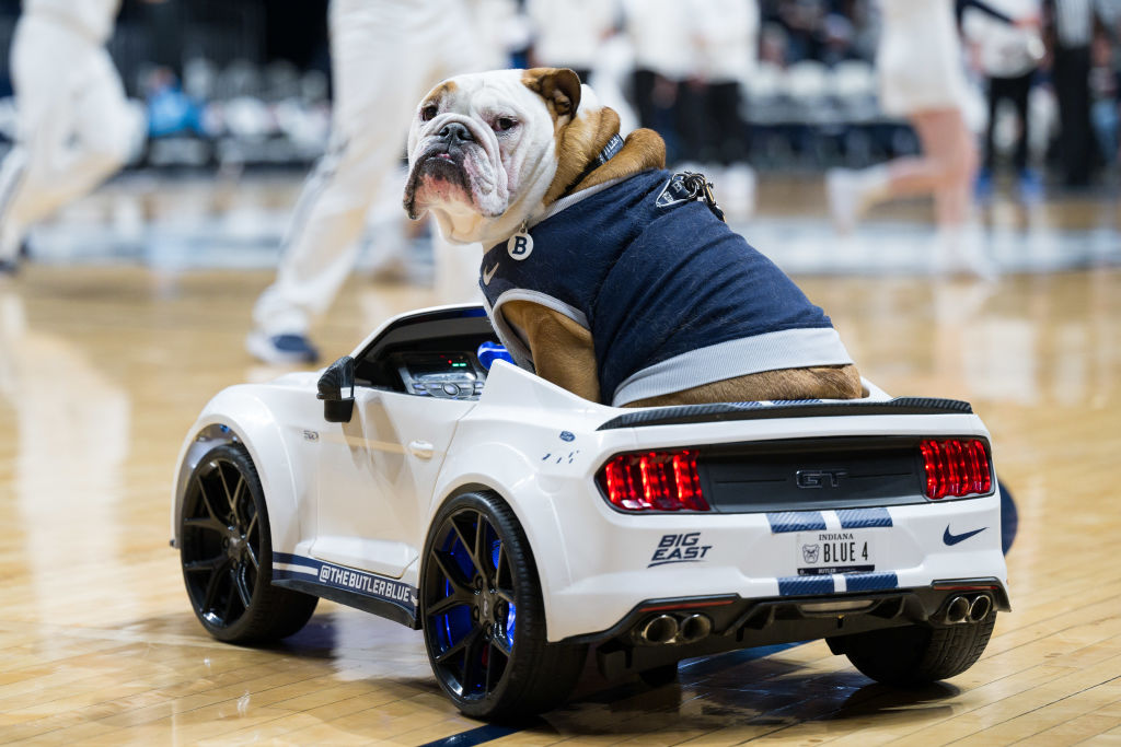 Butler Blue Cruises Around In A Remote-Controlled Mustang While Dressed ...