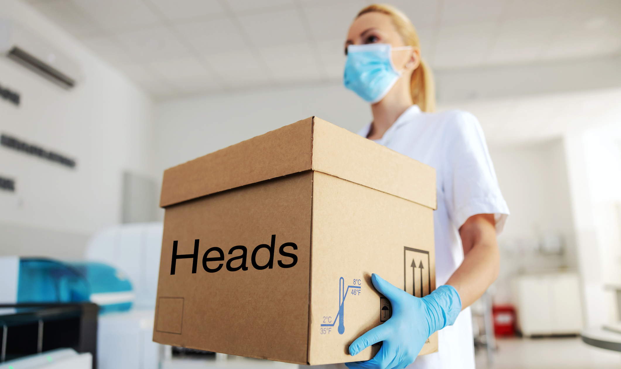Some Weirdo In Denver Stole A Box Of Human Heads That Were For Medical