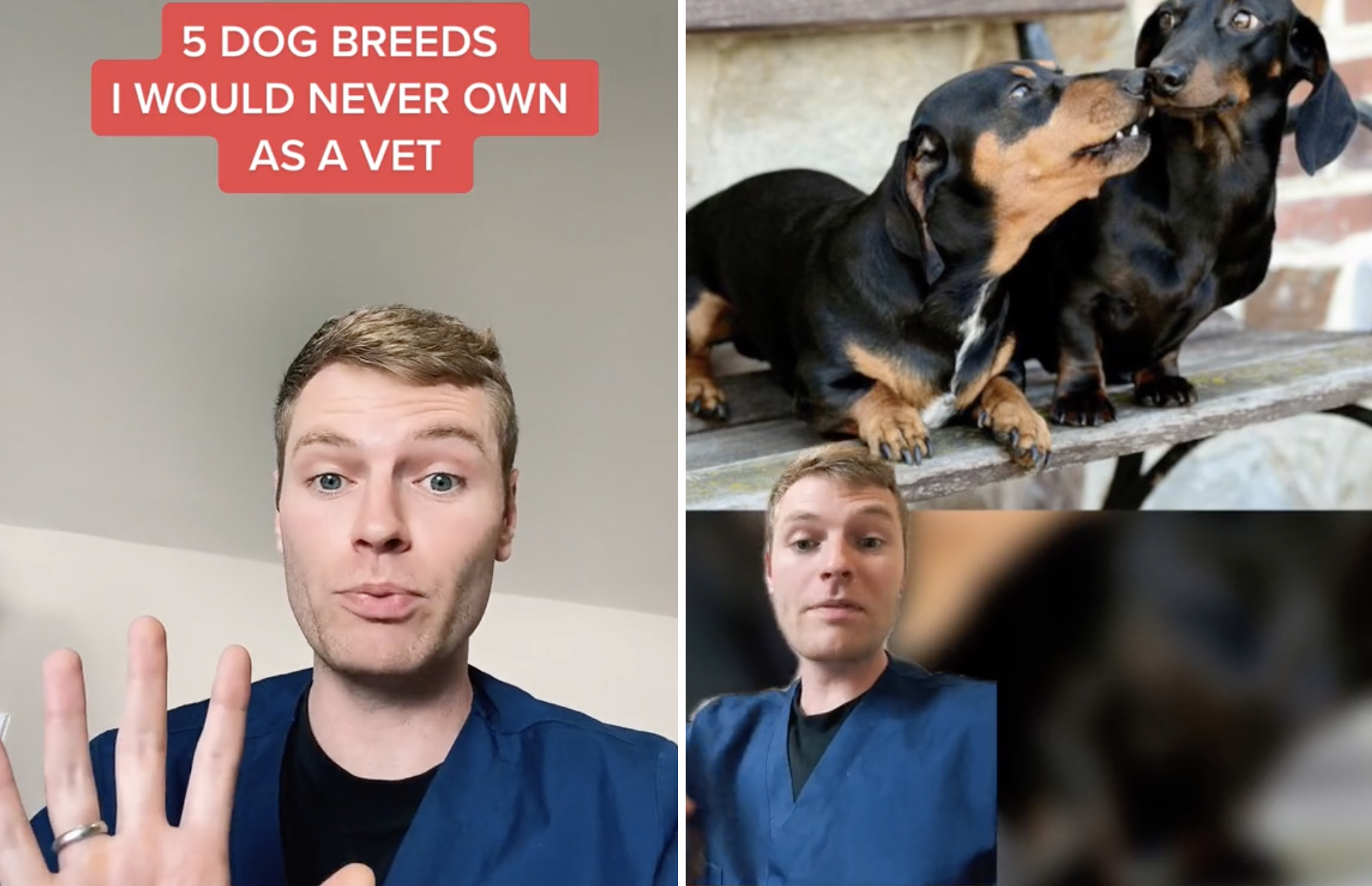 TikTok Veterinarian Goes Viral With List Of Dog Breeds He Wouldn' 