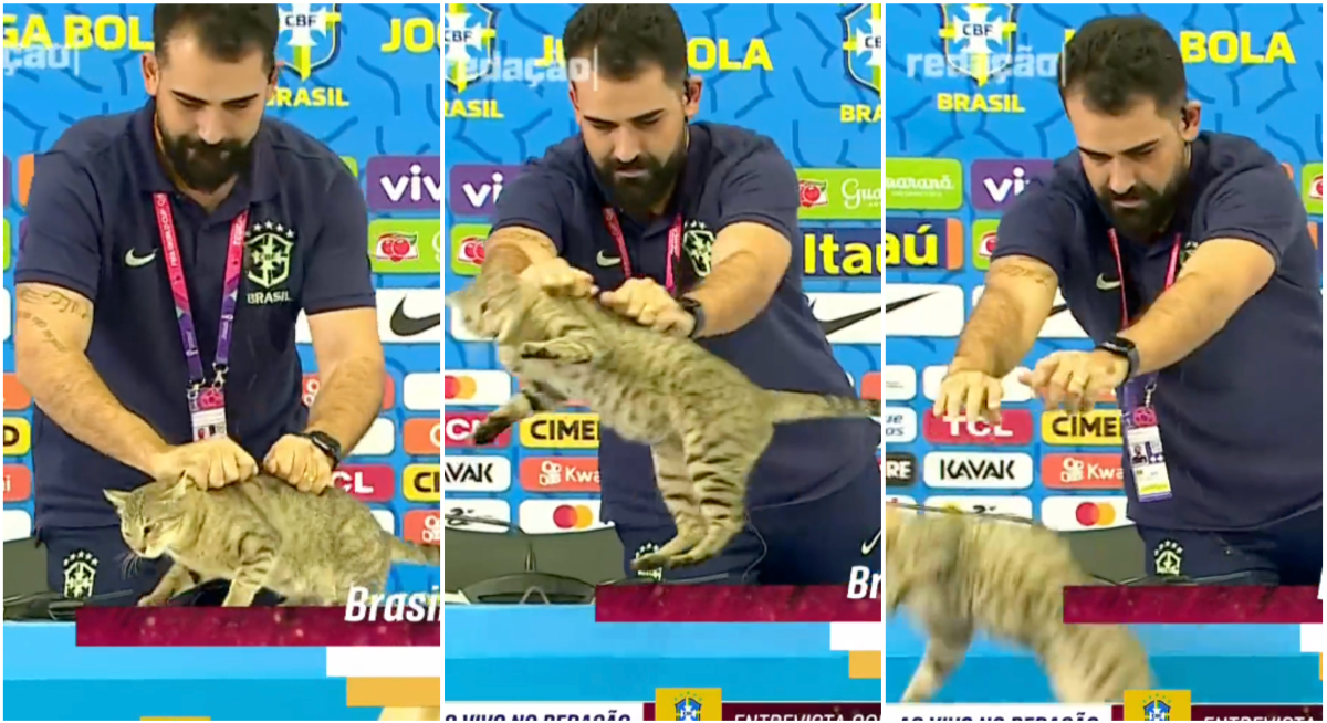 Guy Throws Cat Off Table During Vinicius Jr's Press Conference Video
