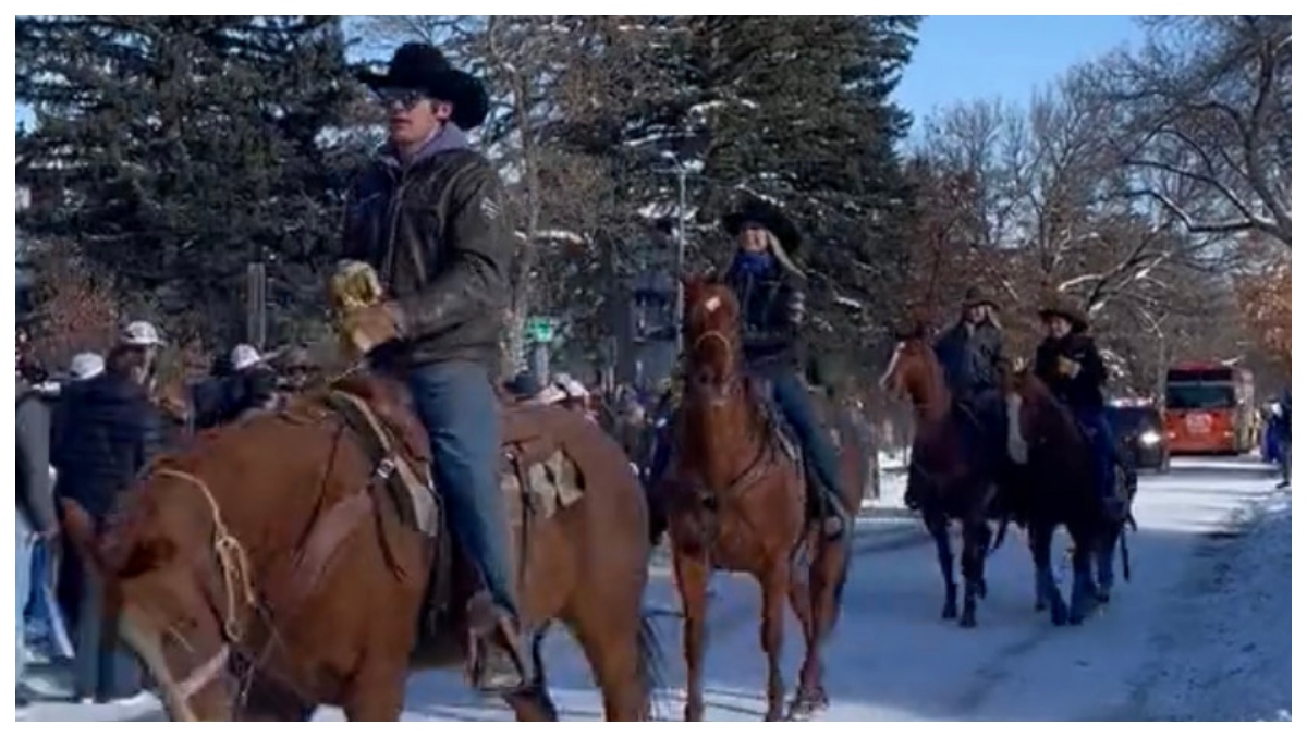 college-gameday-bus-led-through-montana-streets-by-horses