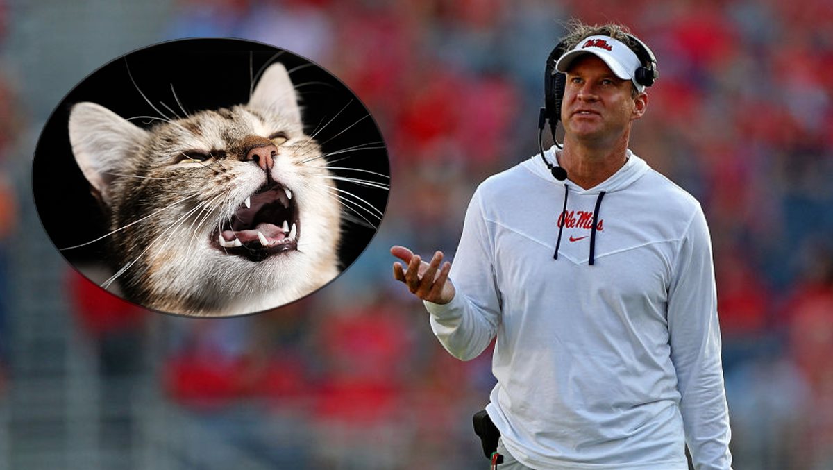 Lane Kiffin's Daughter Pranks Him Into Thinking Stray Cat Is Stuck In