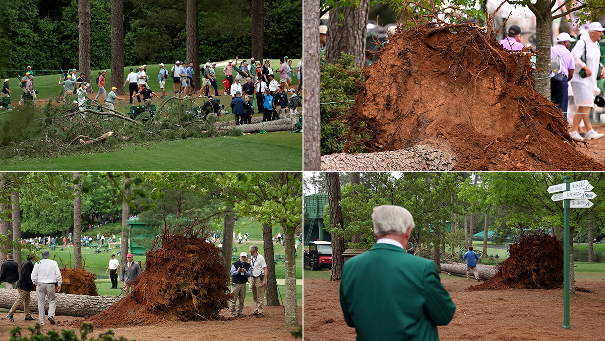 Tree Falls Across 17th Tee Box At The Masters During Second Round