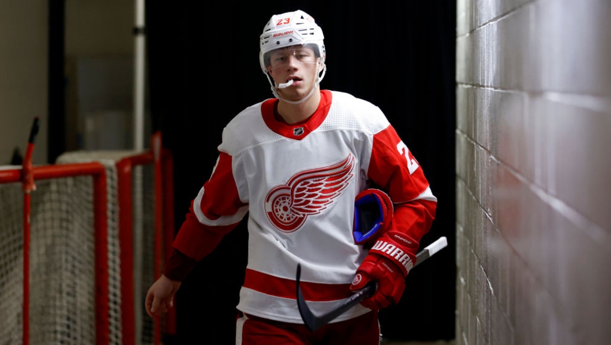 Red Wings' Lucas Raymond Smacks Himself In Face With Opponent's Stick ...