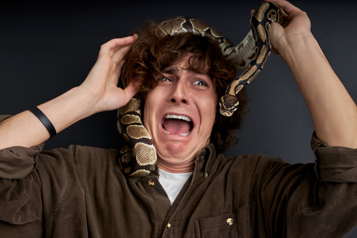 Snake Sitting On Top Of A Screen Door Bites Man's Head | OutKick