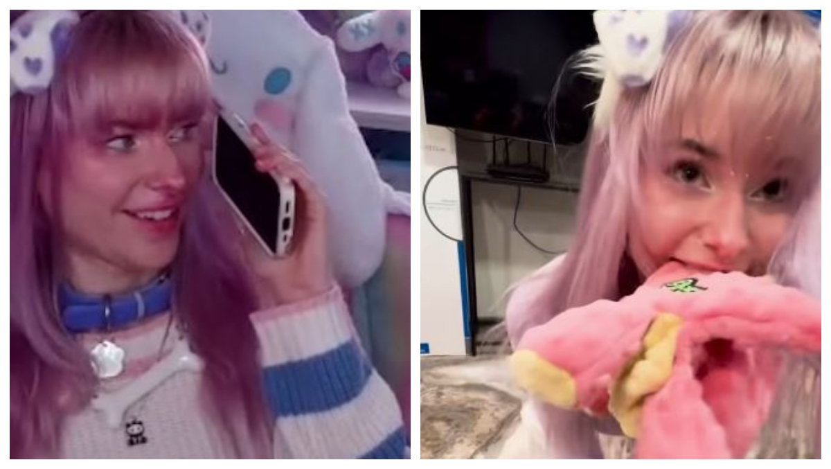 Twitch Streamer Meow Dalyn Identifies As A Dog, Has Handlers & Sleeps ...