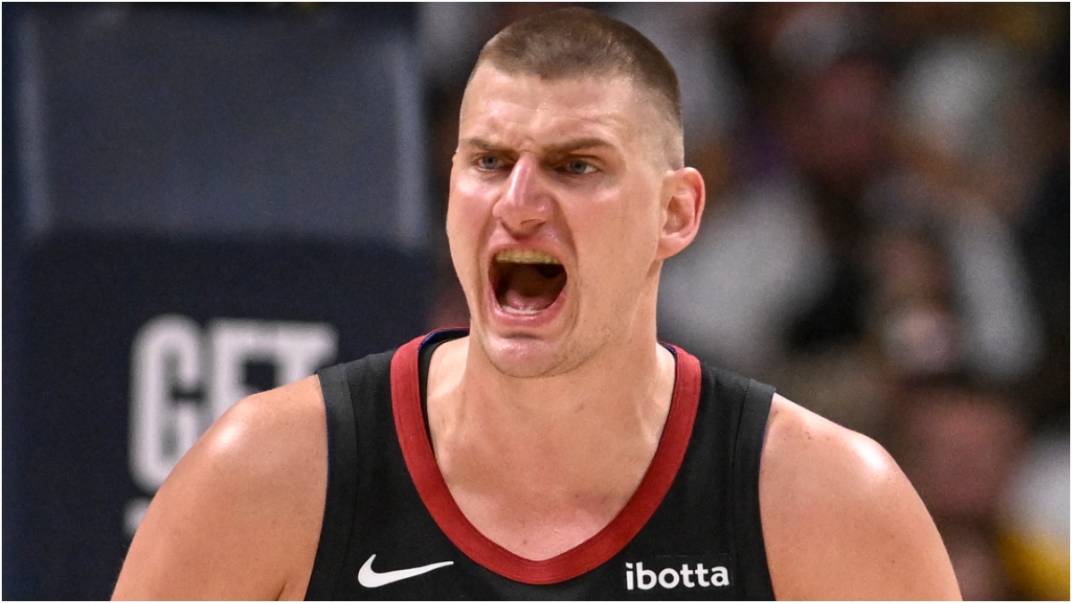 Nikola Jokic\'s brother punches fan during Nuggets/Lakers game