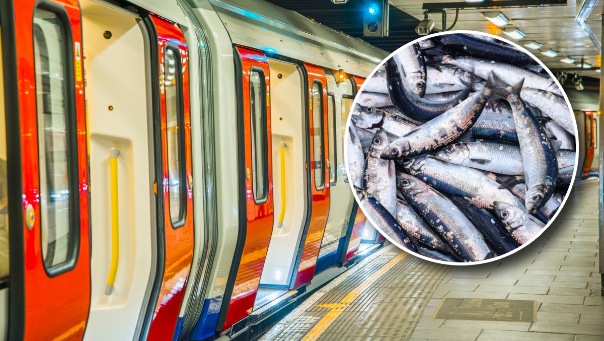 Is The Person Who Ate Mackerel With Their Bare Hands In A Crowded Subway The Worst Person On