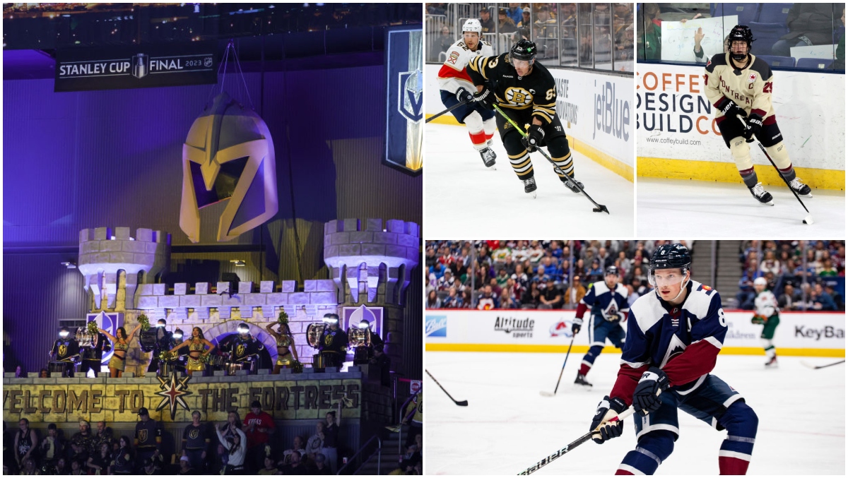 Here Are The Most — And Least — Surprising Answers From The NHLPA ...