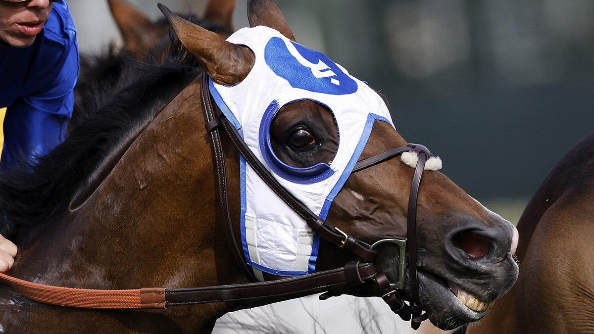 Here's The Best Of This Year's Crop Of Kentucky Derby Horse Names OutKick