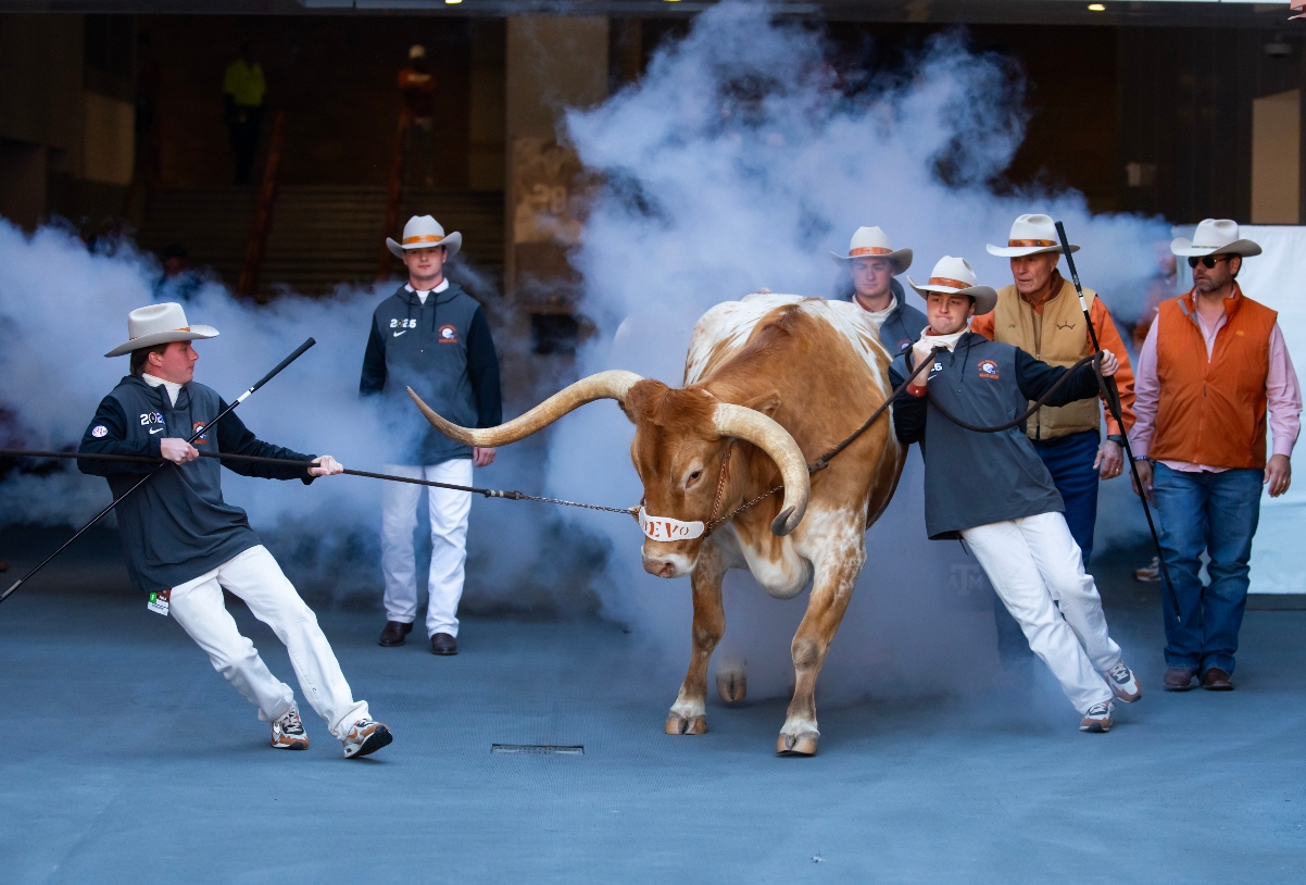 Texas’ Live Mascot ‘Bevo’ Banned From College Football Playoff Game In What Could Be A Bad Omen