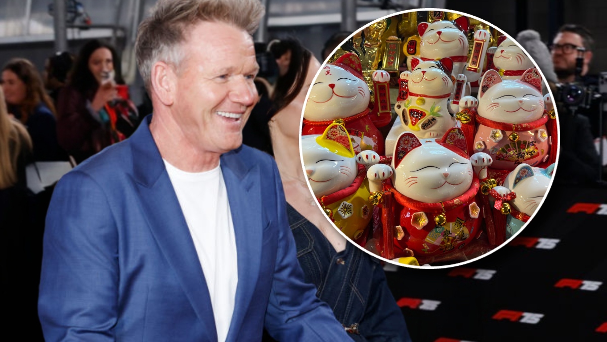 Gordon Ramsay Cat Rumpy People Won't Stop Stealing Gordon Ramsay's Cat Figurines | OutKick