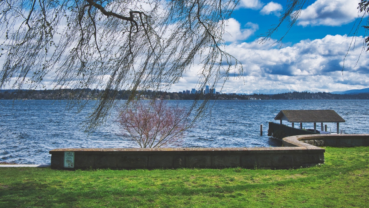 Seattle Plans To Fight Lewd Acts At Park With 'Public Masturbation Deterrent Infrastructure'