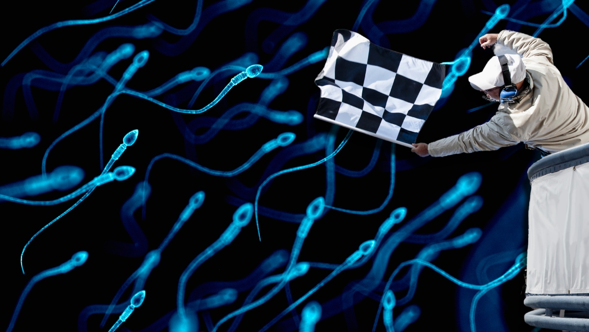 Live Sperm Racing Coming To Los Angeles This Month | OutKick