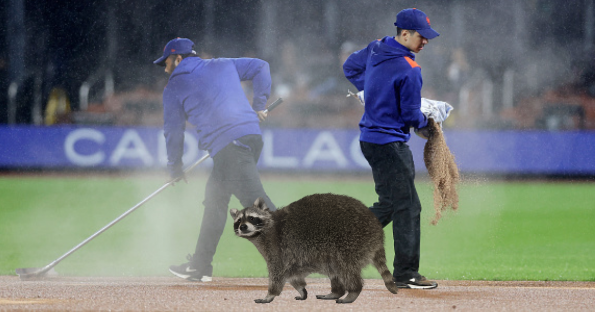 Raccoon Invades Soggy Citi Field During Mets-Pirates Showdown