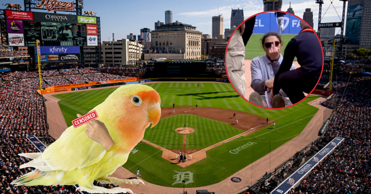 VIDEO: Detroit Tigers Crew Member Flips Off Camera After Injury
