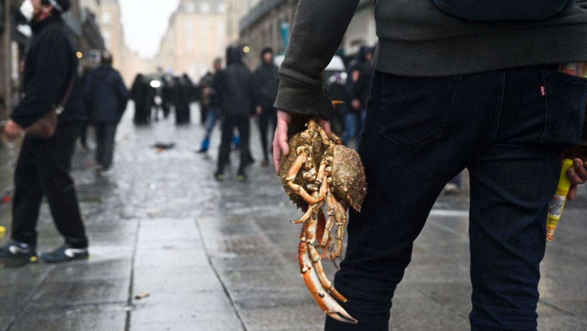 Woman Faces Major Backlash Over Disturbing Act With Crabs