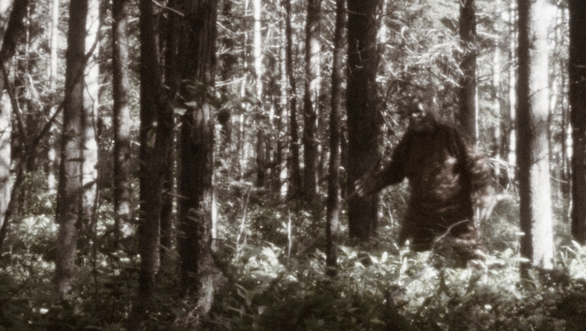 Michigan Man & His Son Report Close Encounter With Bigfoot As They Were Fishing