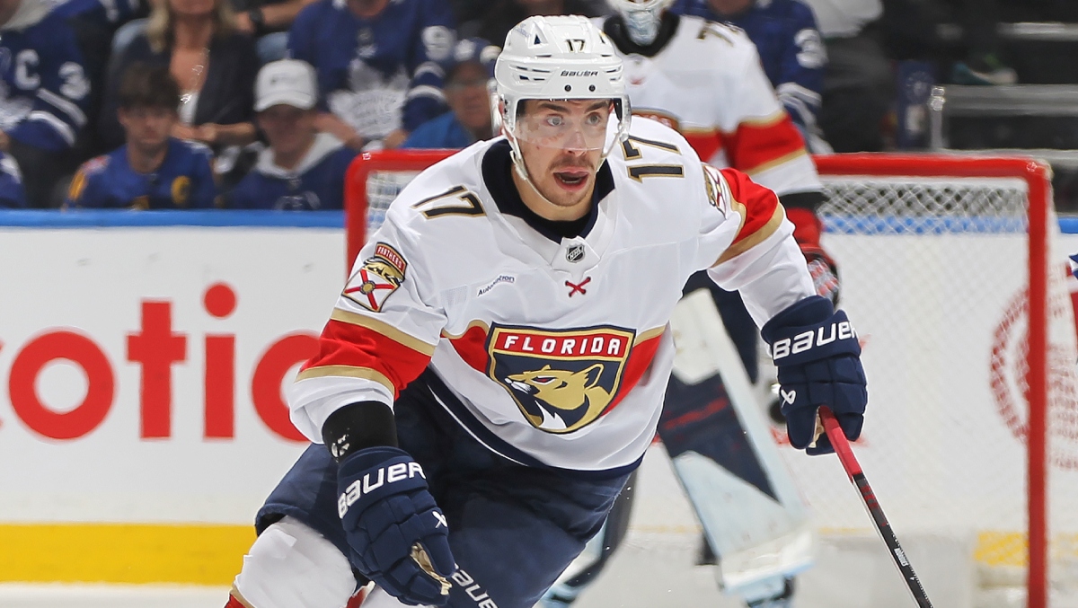 Everyone Is Still Confused By The Worst Embellishment Call In NHL History