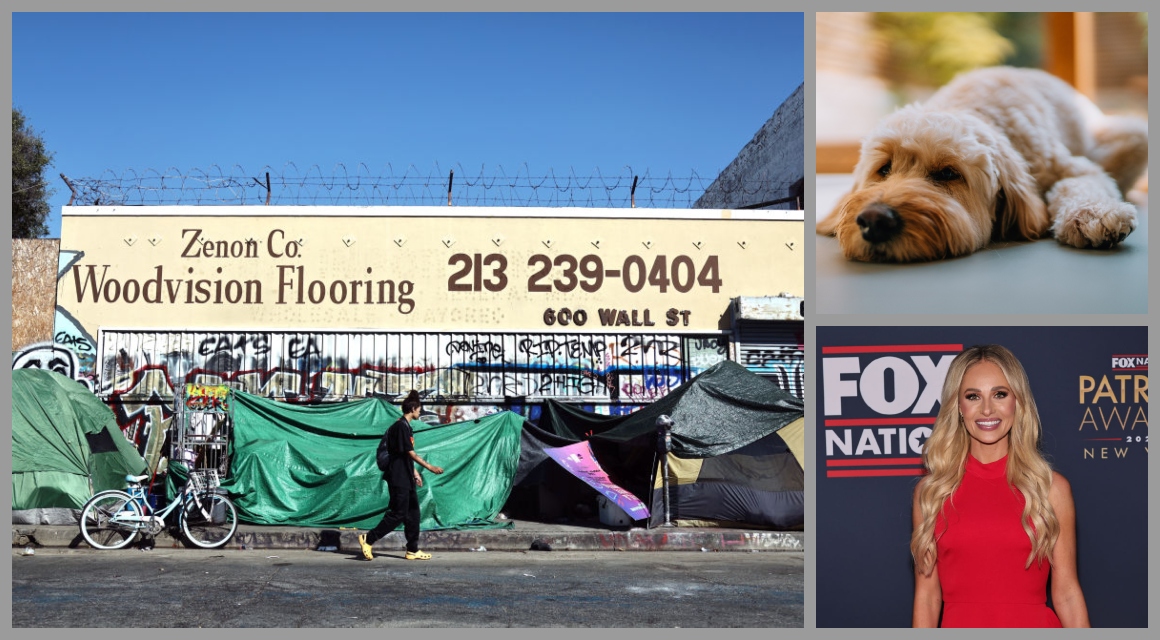 Save The Dogs Of Skid Row | Tomi Lahren