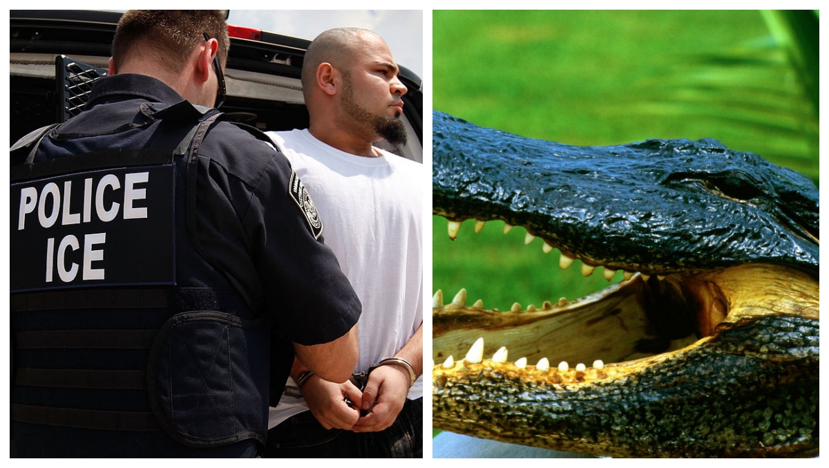 Florida Proposes 'Alligator Alcatraz' Location To Detain Illegal Immigrants