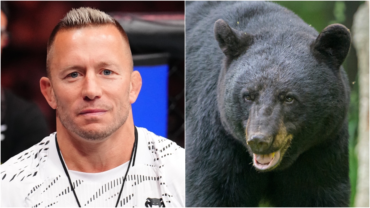 Woke Libs Are Livid After Star Athlete Kills Massive Bear, Seethe With Rage: REACTIONS