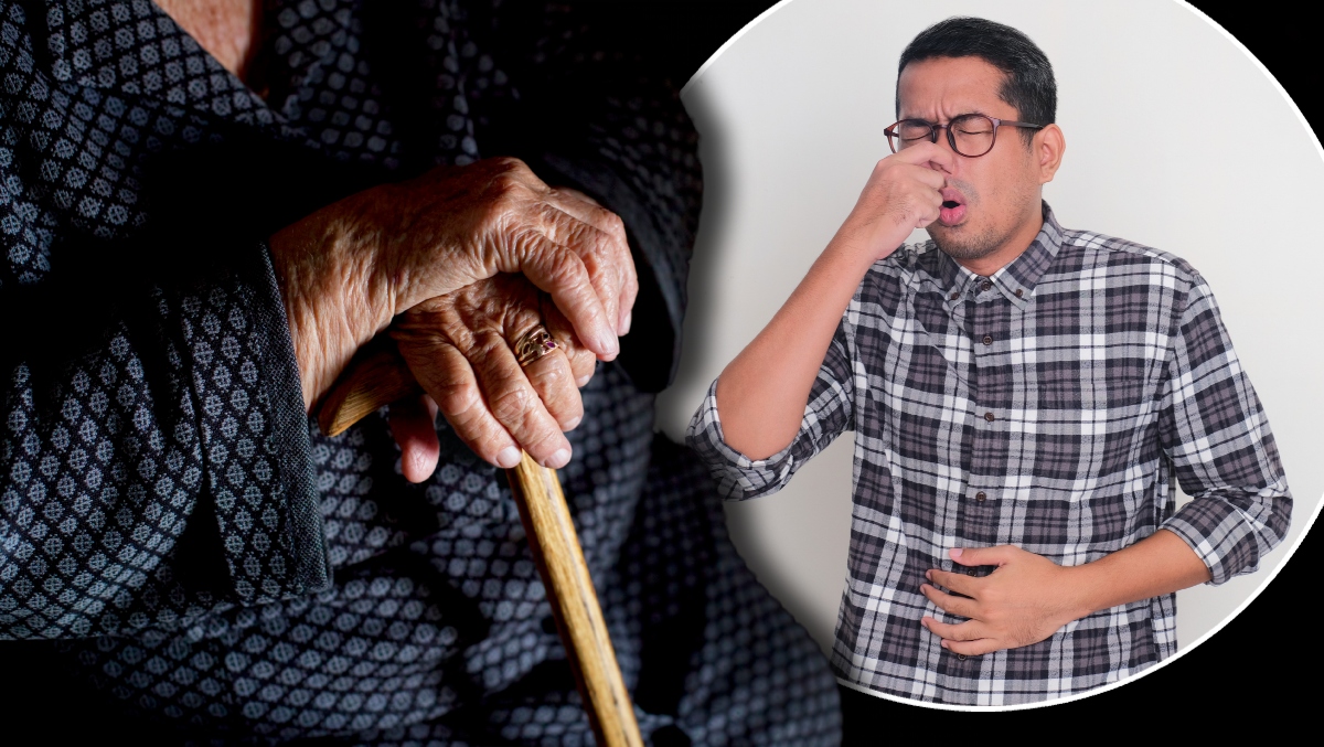 Scientists May Have Found A Cure For Old-People Smell (They're Still Working On Flying Cars Though)