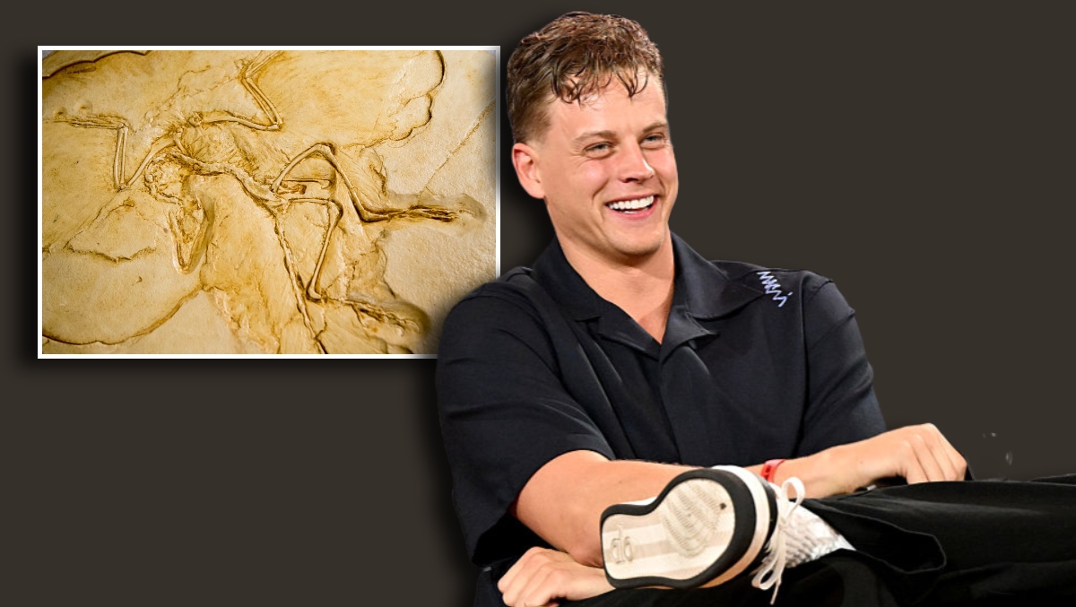 Joe Burrow Is A Big-Time Fossils Guy: 'They go back millions of years. That's sick.'