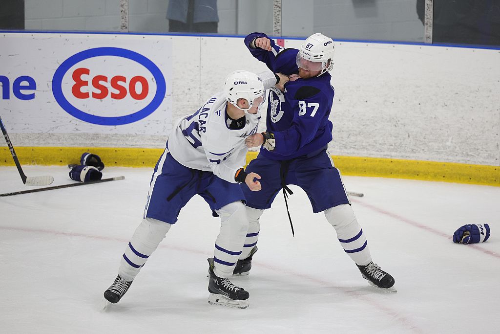 Babe, Wake Up: We've Got A Hockey Fight In Early July
