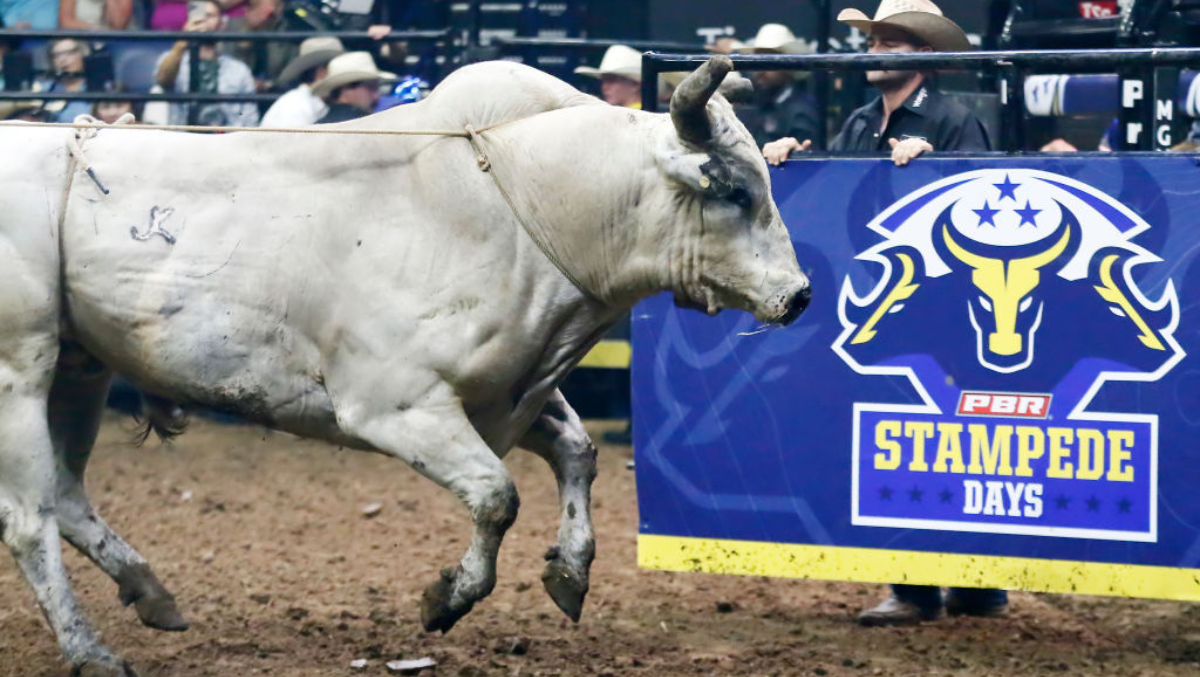 Meet The Man Who Brought The Energy To PBR Stampede Days In Nashville