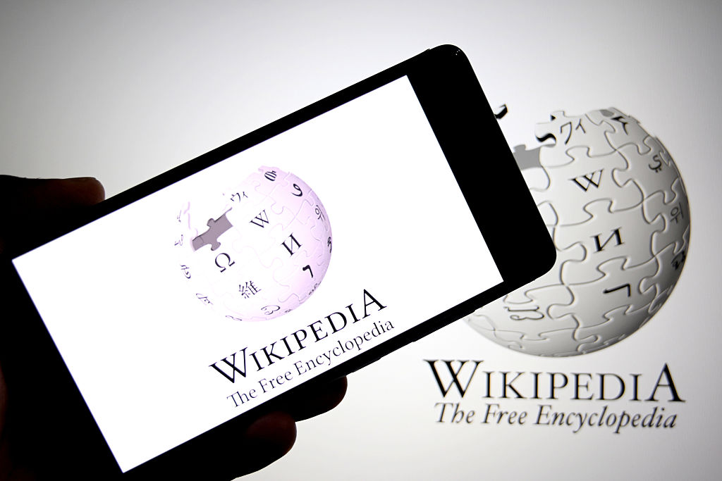 Wikipedia Editors Are Trying To Downplay Details Of Iryna Zarutska's Murder