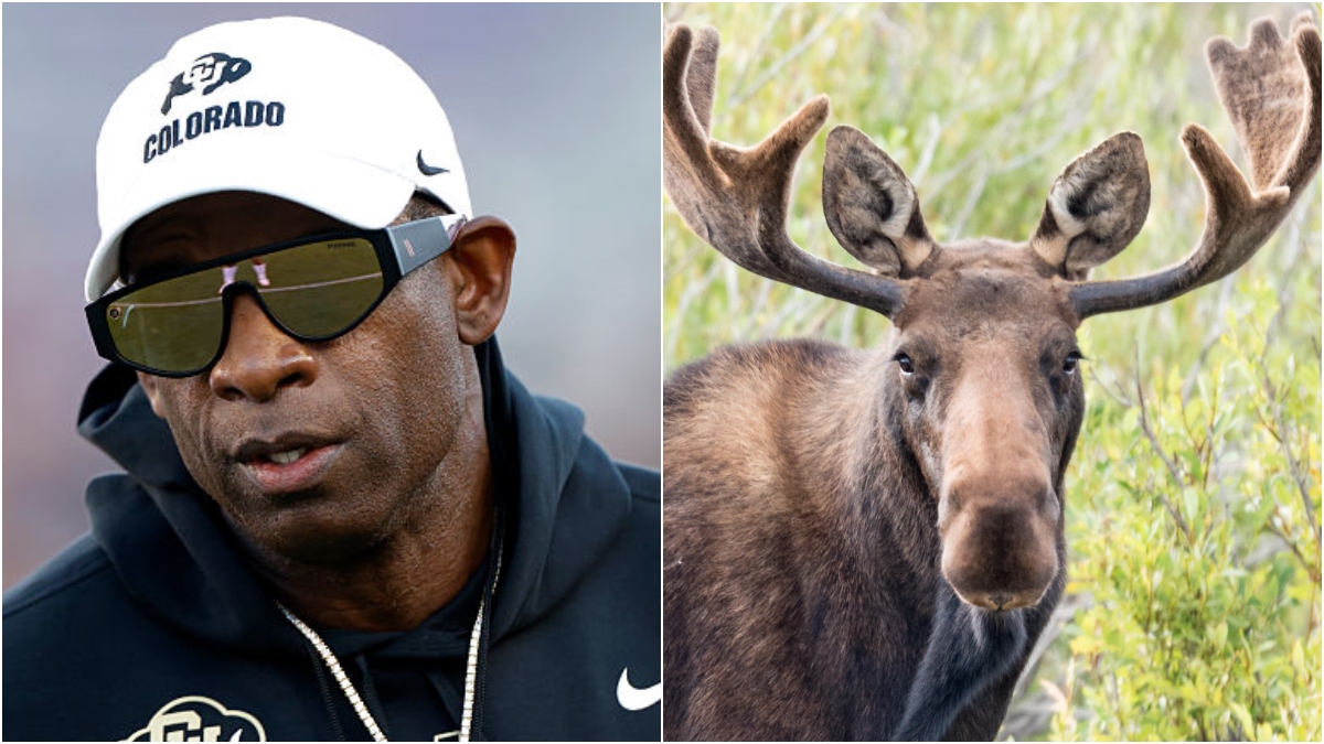 Deion Sanders Claims He Doesn't Know What Moose Are: WATCH | OutKick