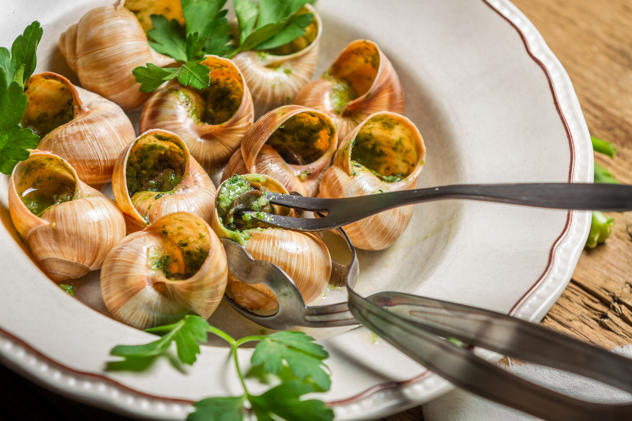 Hey, Louvre Thieves; France's Escargot Thieves Want You To Hold Their Bordeaux