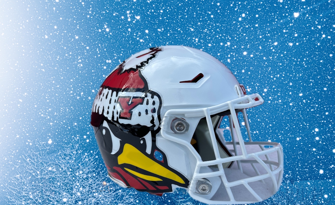 fantasy football helmet penguin Youngstown State Penguins Riddell Speed Mini and carefully assembled Tough Penguin Mascot Holding Football