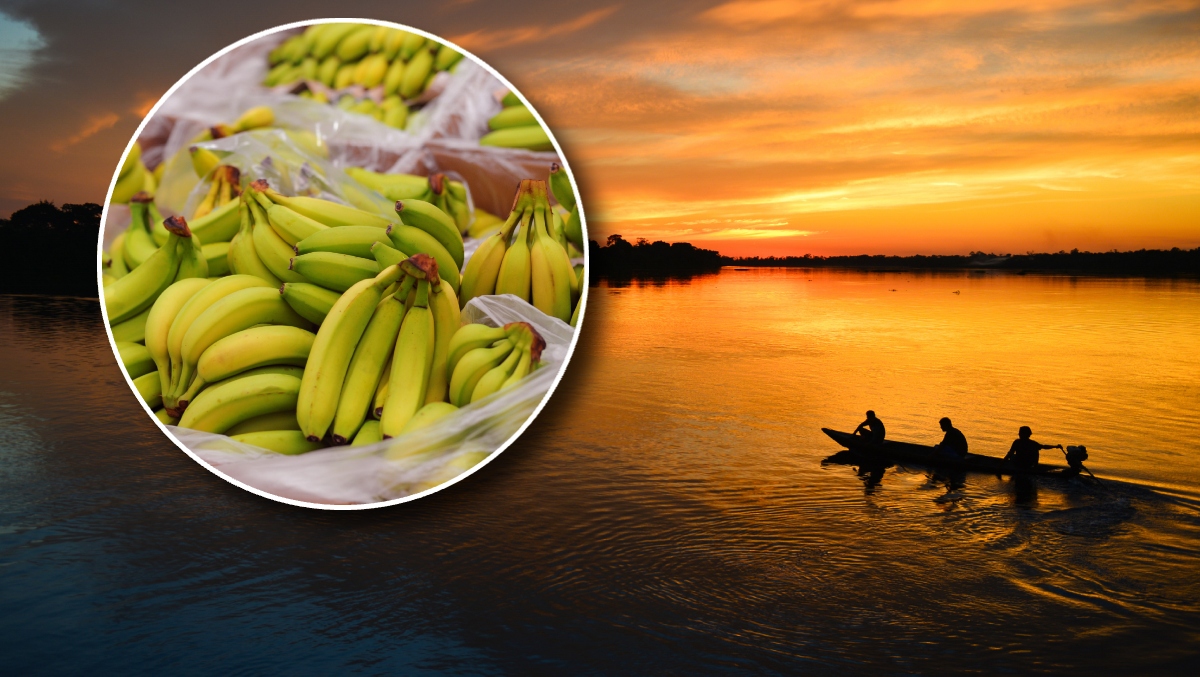 Uncontacted Amazon Tribe Welcomes Canoe Full Of Bananas, Then They Retaliate