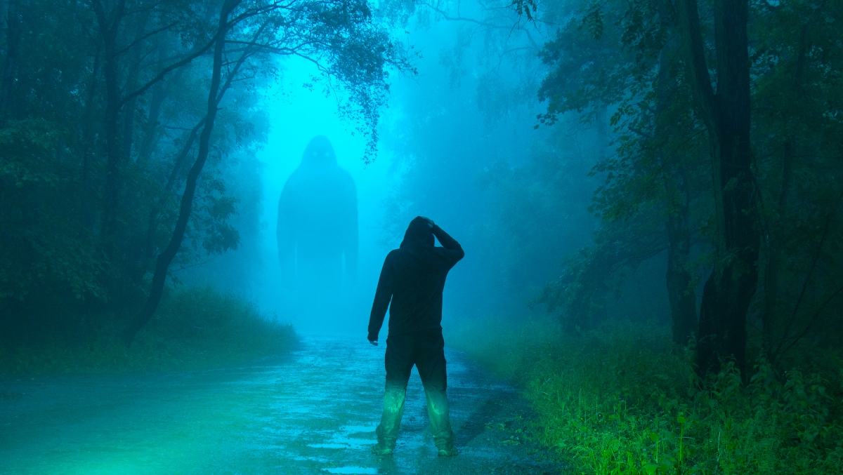 Two Teenagers Shooting Bottle Rockets In Wisconsin Come Face-To-Face With Bigfoot