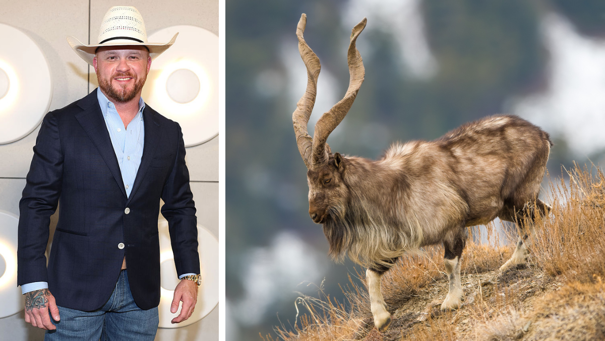 Cody Johnson Harvests Massive Markhor During Texas Ranch Hunt