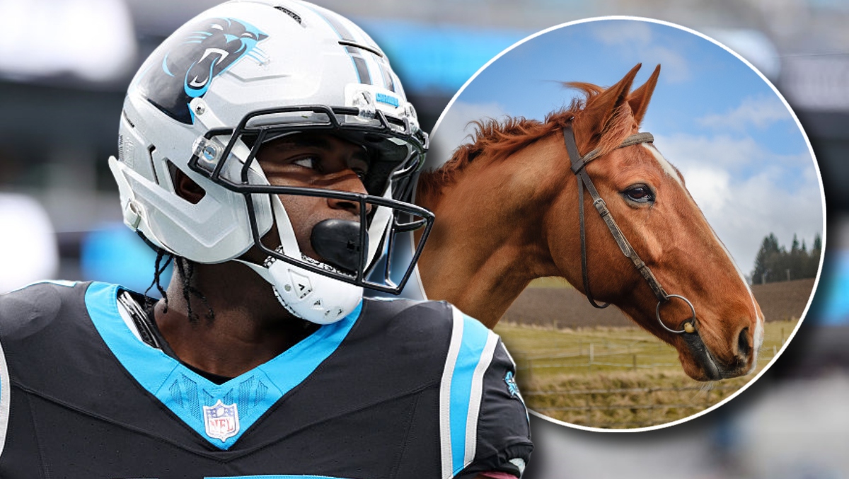 “Outrageous Lie: ESPN Reporter Falsely Accuses Panthers WR of Riding Horse to Playoff Game”