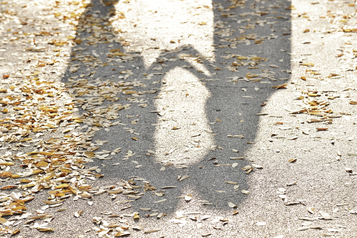 Pennsylvania Public Officials Caught Getting It On In Public On A Beaver Street Sidewalk