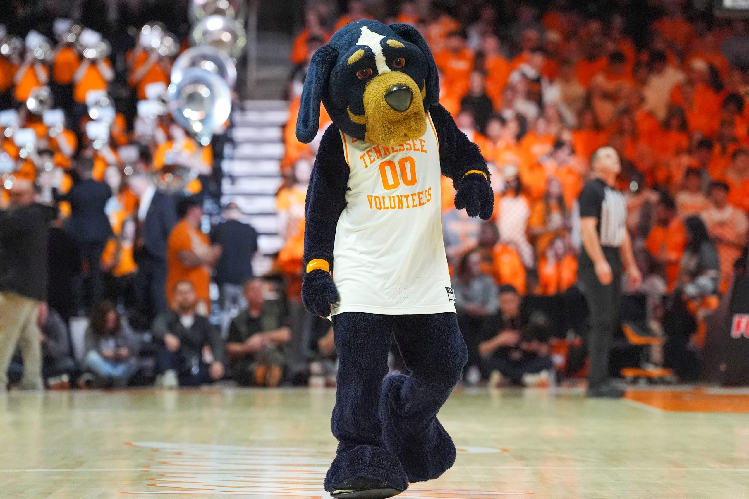 Tennessee Will Sweep Season Series Against Vanderbilt