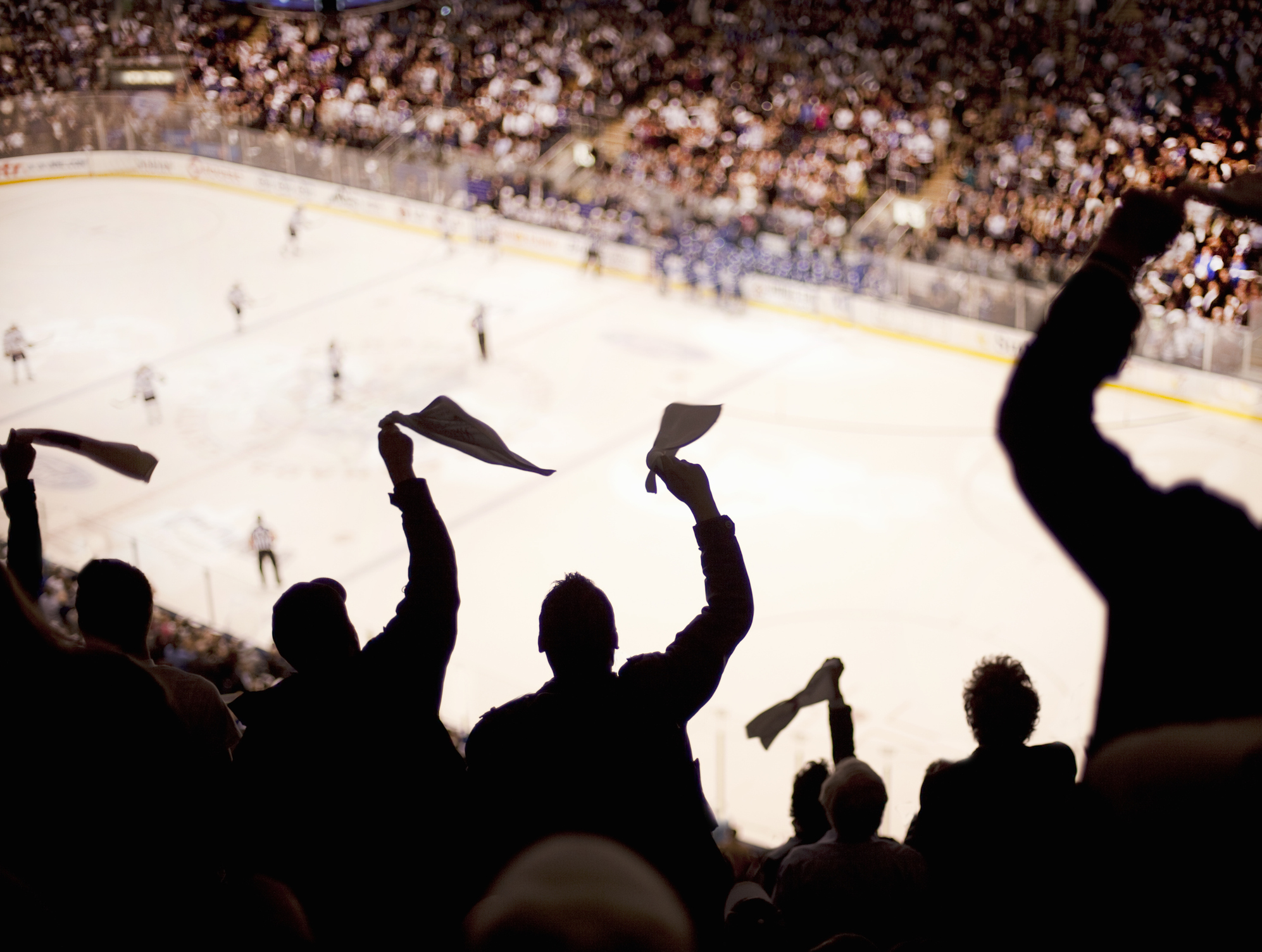 European Hockey Mascot Sparks Wild Brawl After Shoving Opposing Team's Player