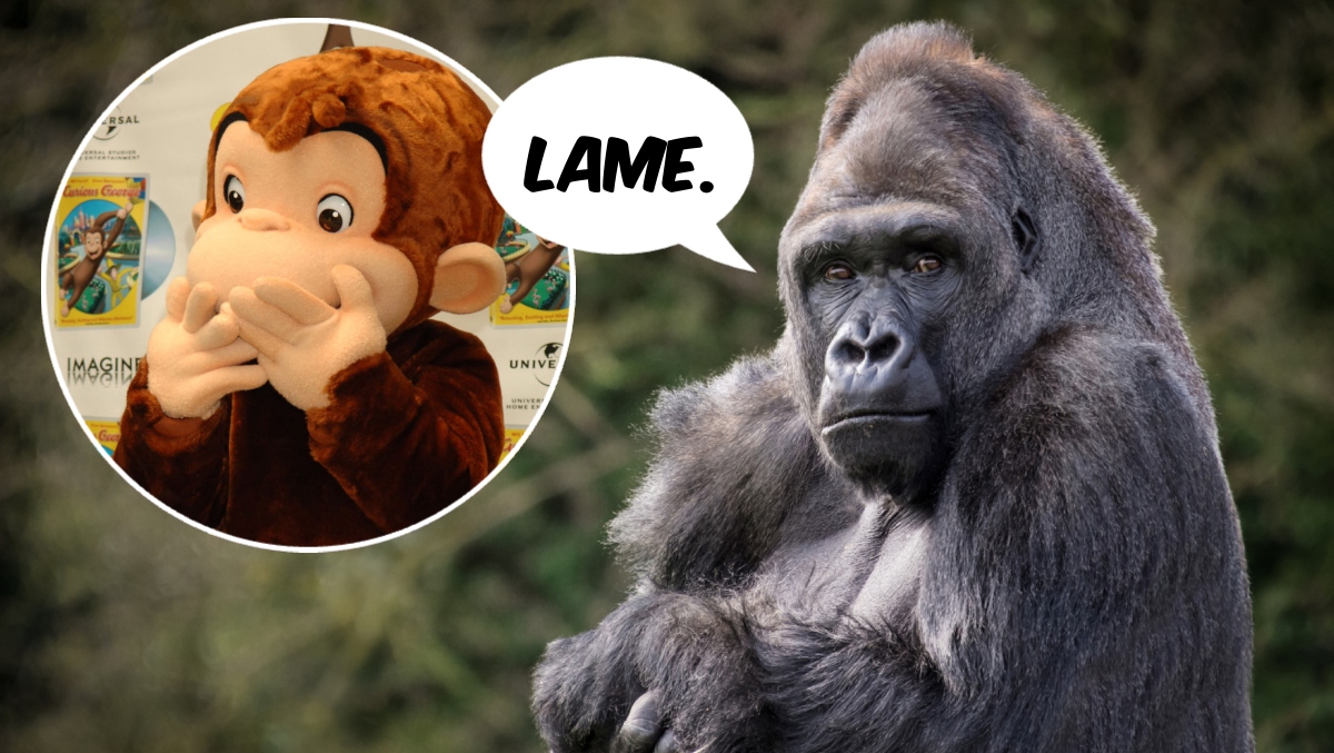 Not So Curious: Gorillas Snub Tossed Curious George Toy