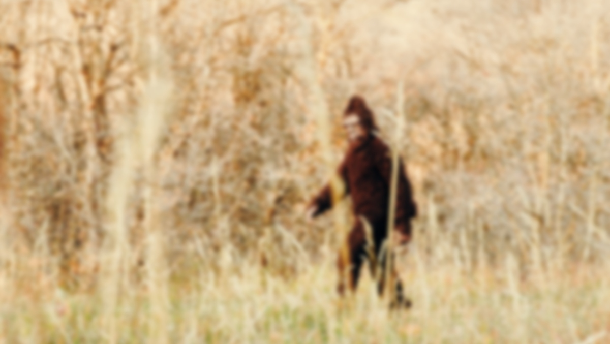 Bigfoot Investigators Monitoring Movement Across Ohio As Six 'High-Credibility' Reports Made In Just Four Days