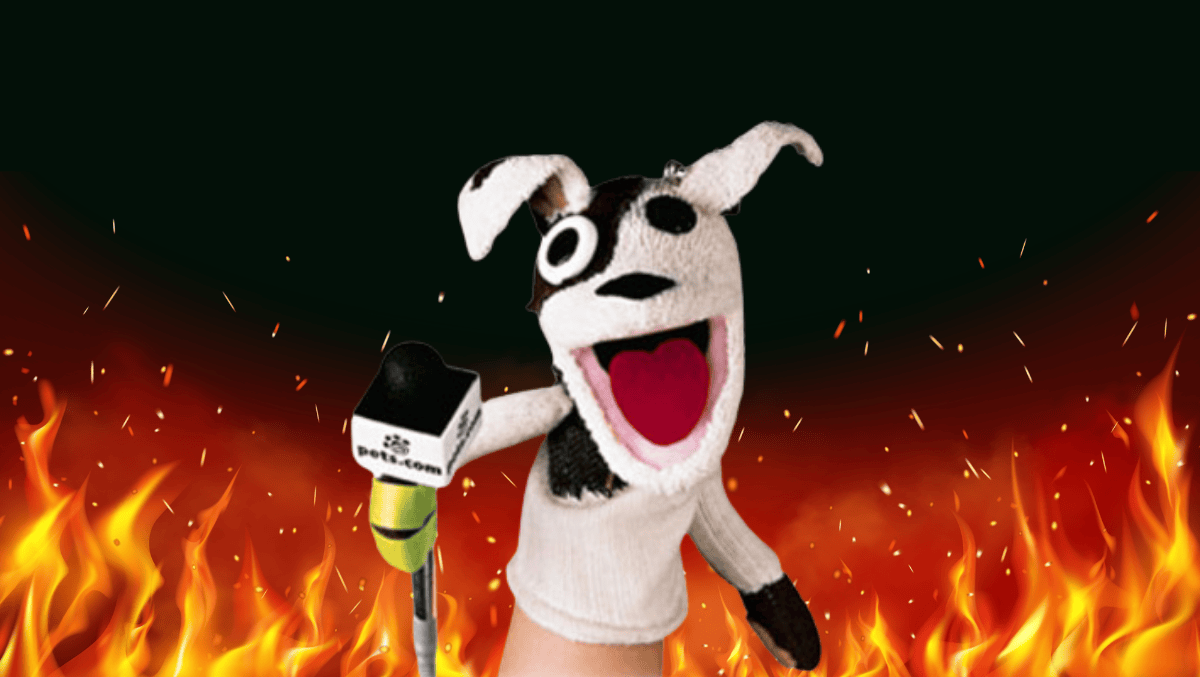 Five Of The Dumbest Websites From The Dot Com Bubble